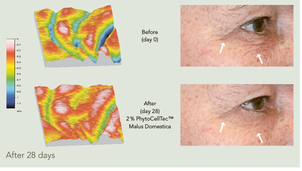 Age defying eye cream