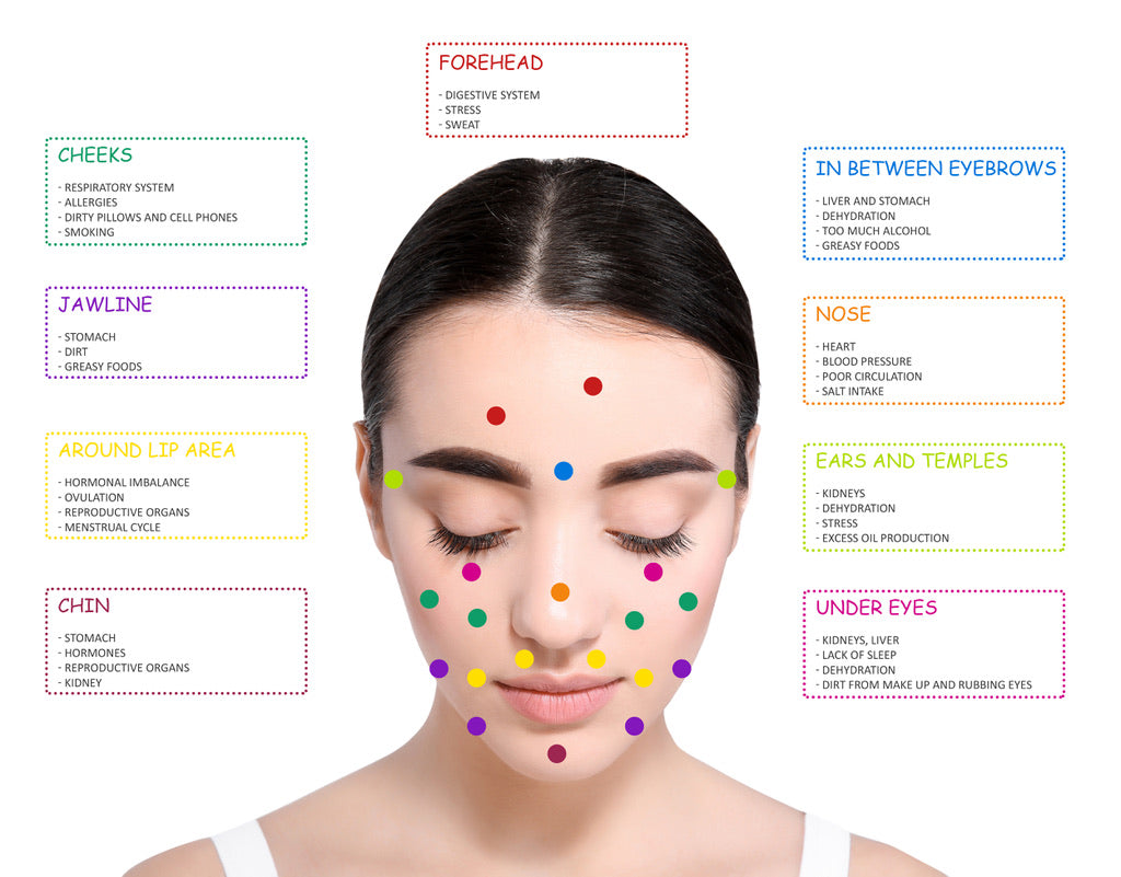 A skin analysis face map