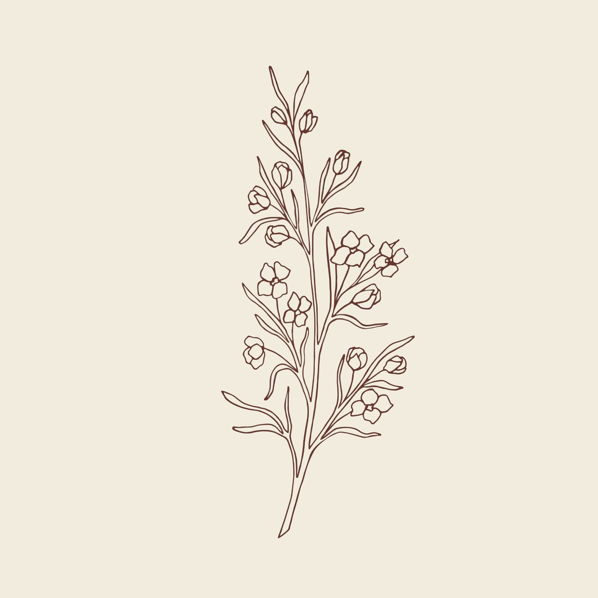 A minimalist brown line art illustration of a flowering plant stem with small blossoms and leaves, on a beige background.