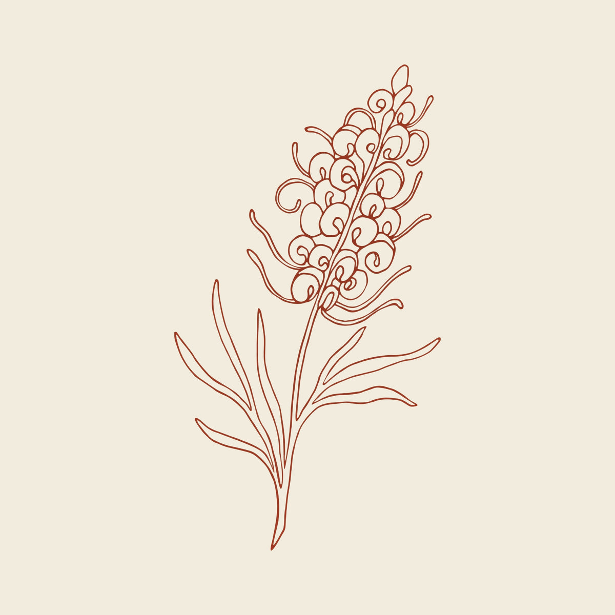 Minimalist botanical line art of a flowering plant on a beige background.